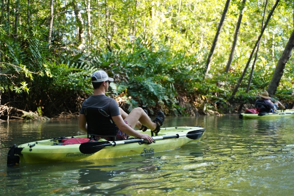 Man on a kayak on a river in a tropical rainforest